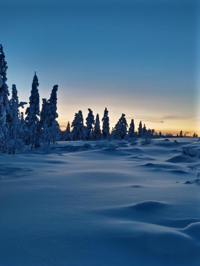 Villanorva Saarenkylä Exterior foto